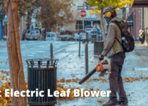 Best Electric Leaf Blower