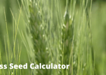 Grass Seed Calculator