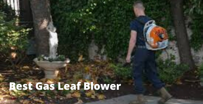 Best Gas Leaf Blower