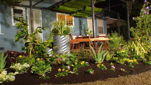 Backyard Landscape Garden Design