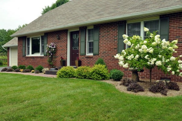 Landscaping Ideas For a Simple Front Yard