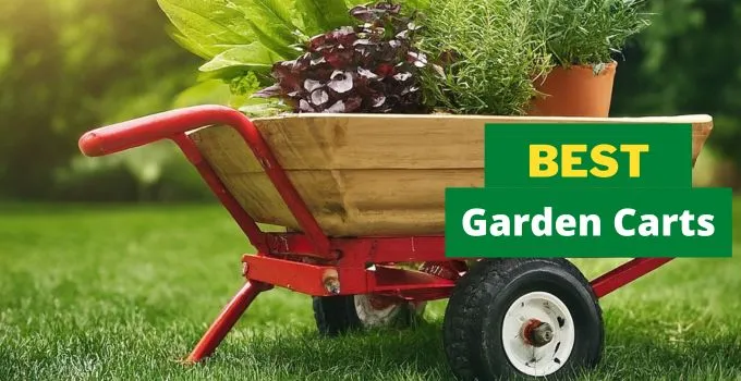 Best Garden Carts