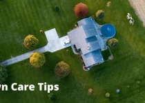 Lawn Care Tips For Beginners 2 Lawn Care Tips