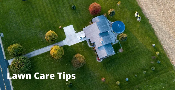 Lawn Care Tips