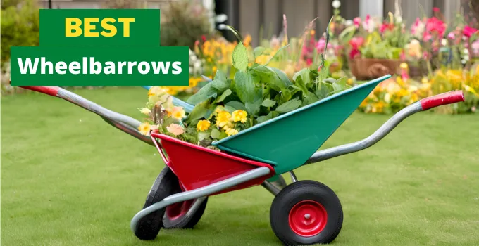 5 Best Wheelbarrows You Can Buy In 2024