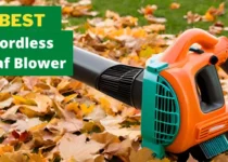 best cordless leaf blower