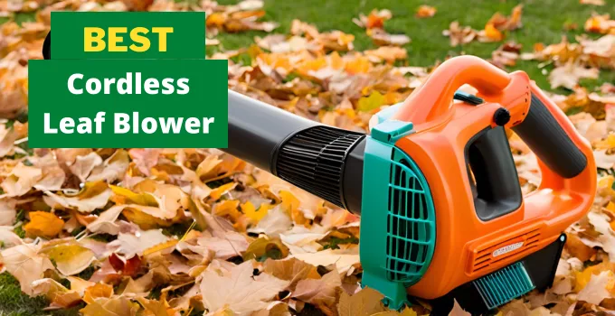 best cordless leaf blower