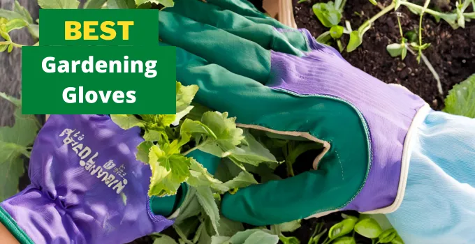 best gardening gloves