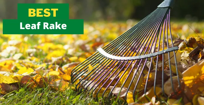 best leaf rake