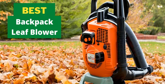 Best Backpack Leaf Blower