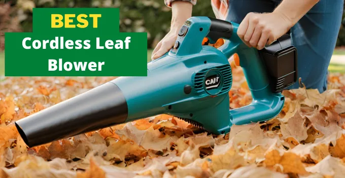 Best Cordless Leaf Blower Under 100