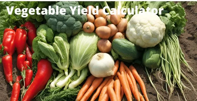 Vegetable Yield Calculator