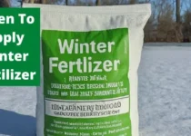 When To Apply Winter Fertilizer? 2 When To Apply Winter Fertilizer