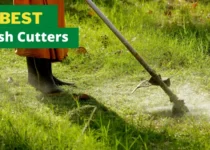 5 Best Brush Cutter For Your Lawn in 2024 9 best brush cutter