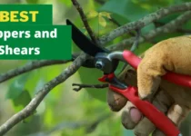 5 Best Loppers and Shears 9 best loppers and shears