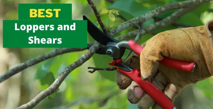 best loppers and shears