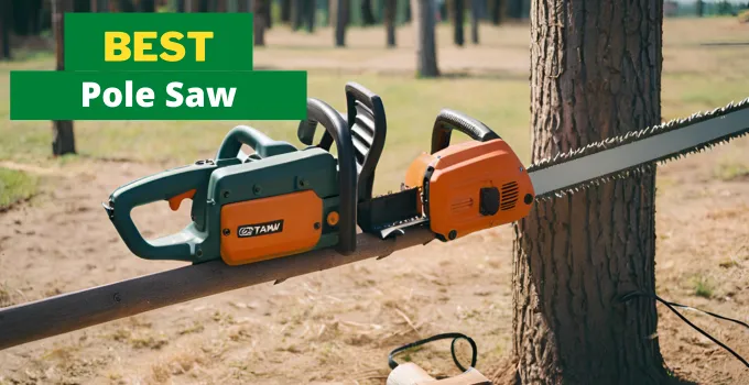 best pole saw