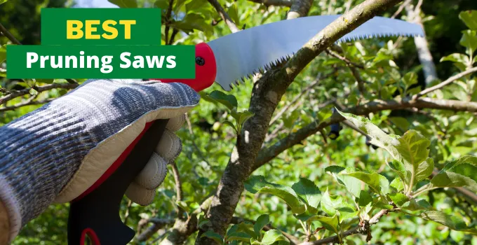 best pruning saw
