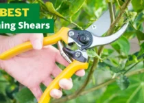 Best Pruning Shears in 2024 8 best pruning shears