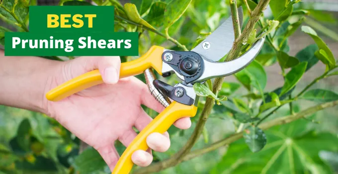 best pruning shears