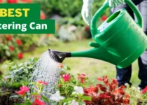 Top 5 Best Watering Can To Buy in 2024 7 best watering can