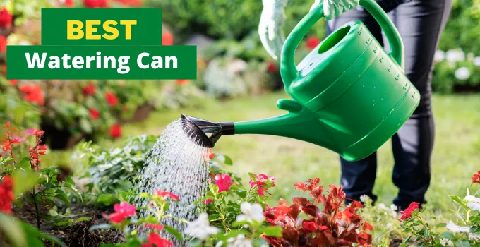 best watering can