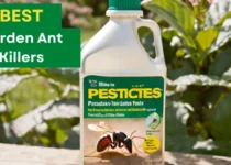 5 Best Garden Ant Killers 8 Best Garden Ant Killers