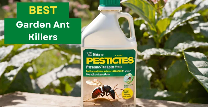 Best Garden Ant Killers