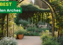 Best Garden Arches for 2024 9 Best Garden Arches