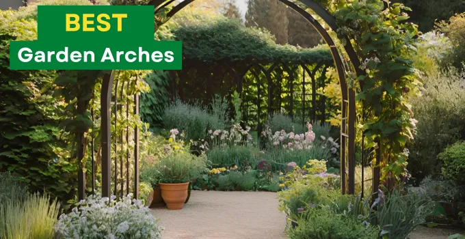 Best Garden Arches