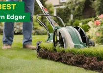 5 Best Lawn Edgers For 2024 8 Best Lawn Edger