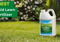 Best Liquid Lawn Fertilizer