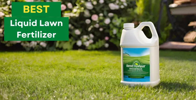 Best Liquid Lawn Fertilizer
