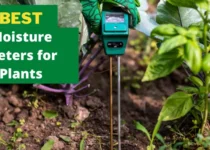 best moisture meters for plants