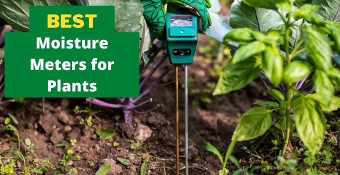 best moisture meters for plants