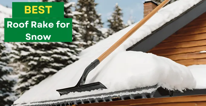 Best Roof Rake For Snow