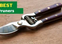 Top 5 Best Pruners For 2024 8 best pruners