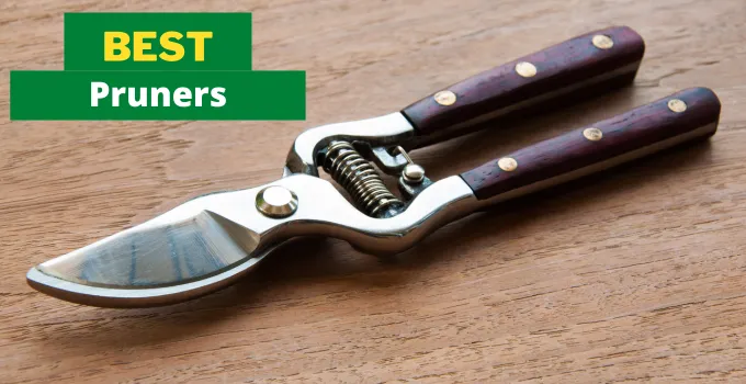 best pruners